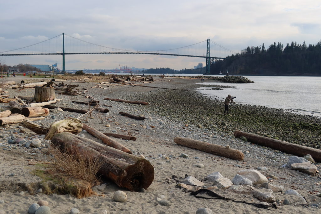 Lions Gate Bridge from Ambleside Park in West Vancouver.  The suspension bridge connects the City of Vancouver to the North Shore municipalities of the District of West Vancouver, the District of North Vancouver and the City of North Vancouver.